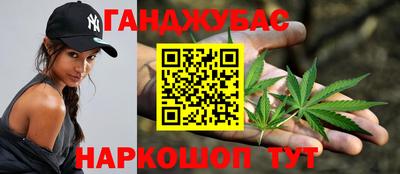 сатива Гагарин