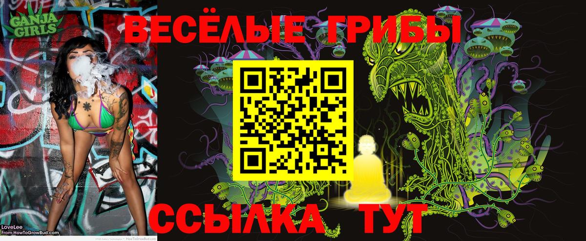 Галлюциногенные грибы ЛСД Мытищи
